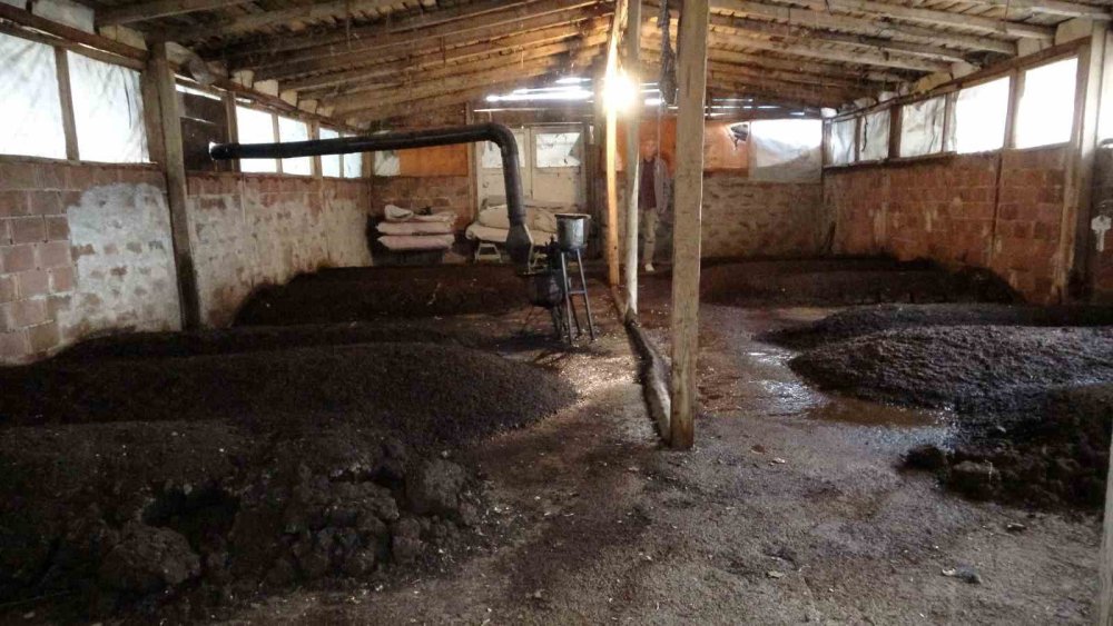 Sıvı solucan gübresiyle tarımda yüzde 30 verim artışı