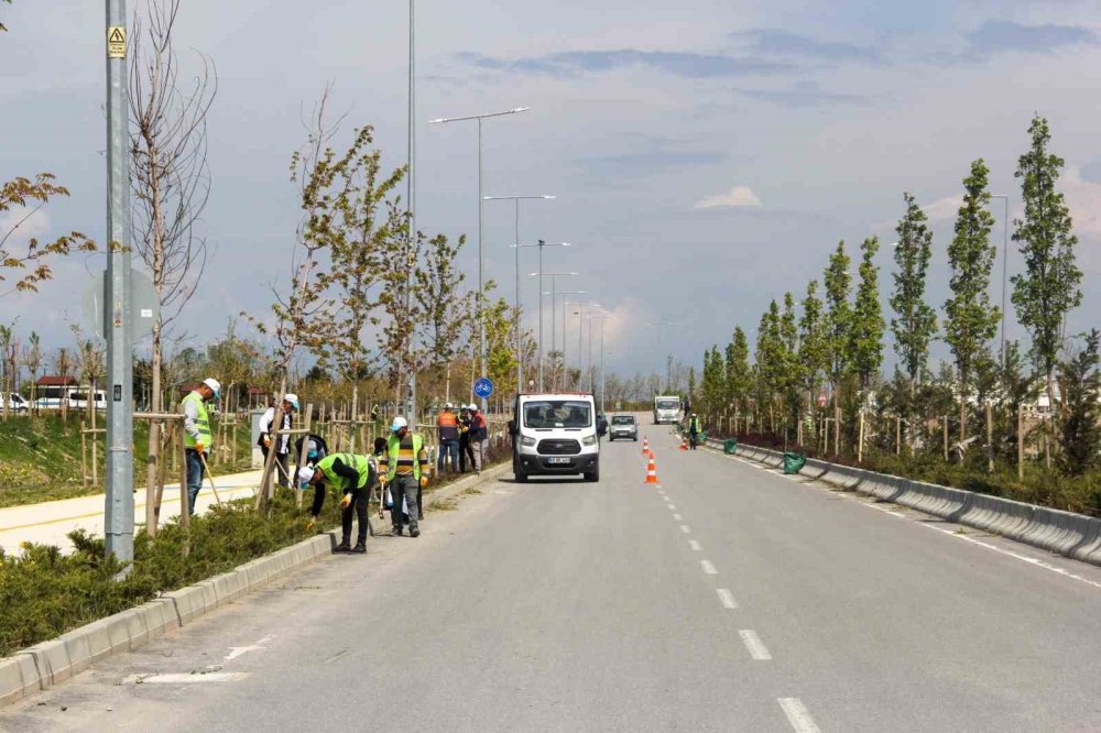 Van sahil yolunda çalışma