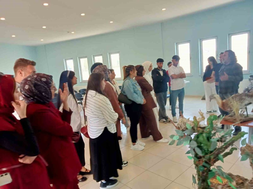 Yaban hayvanlarını ve doğayı yakından tanıdılar