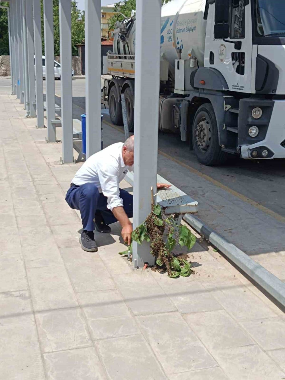 Otobüs durağında arı paniği