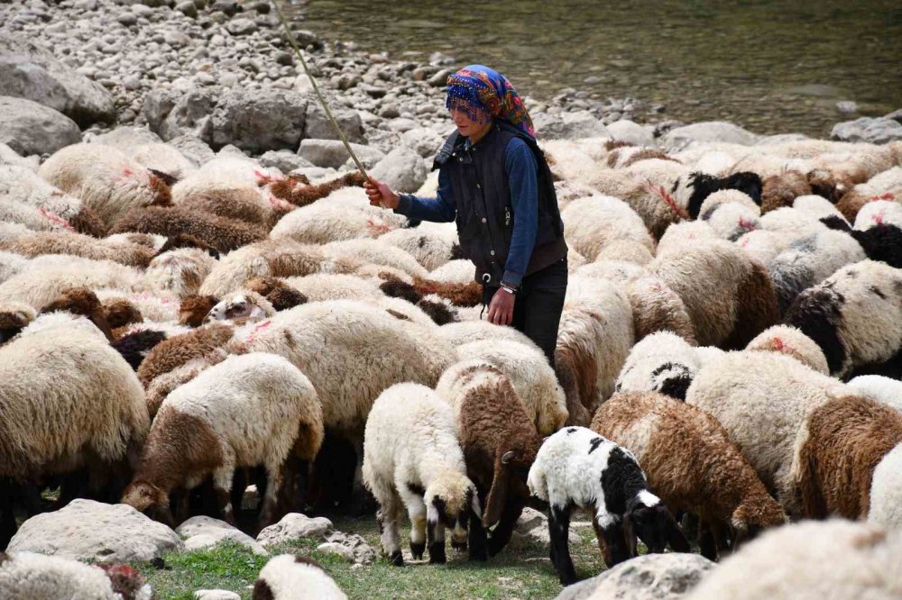 Sarp dağlarda 30 günlük yürüyüş: Rozerin’in hayali okul sırası görmek