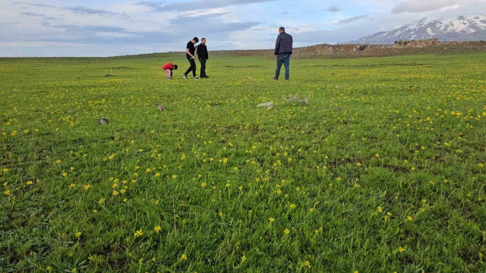 Adilcevaz'ın saklı güzellikleri: Cil Gölü ve Sütey Yaylası