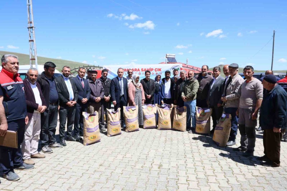 Sarıkamış’ta korunga tohumu dağıtıldı