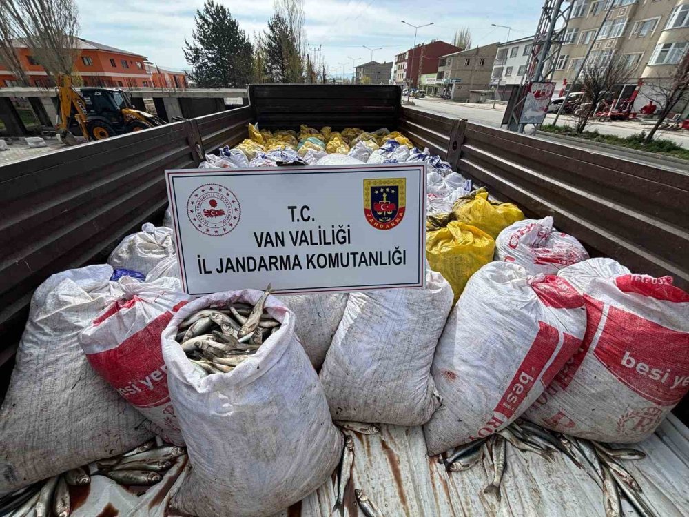 Van’da 3 ton 820 kilo kaçak avlanmış balık yakalandı