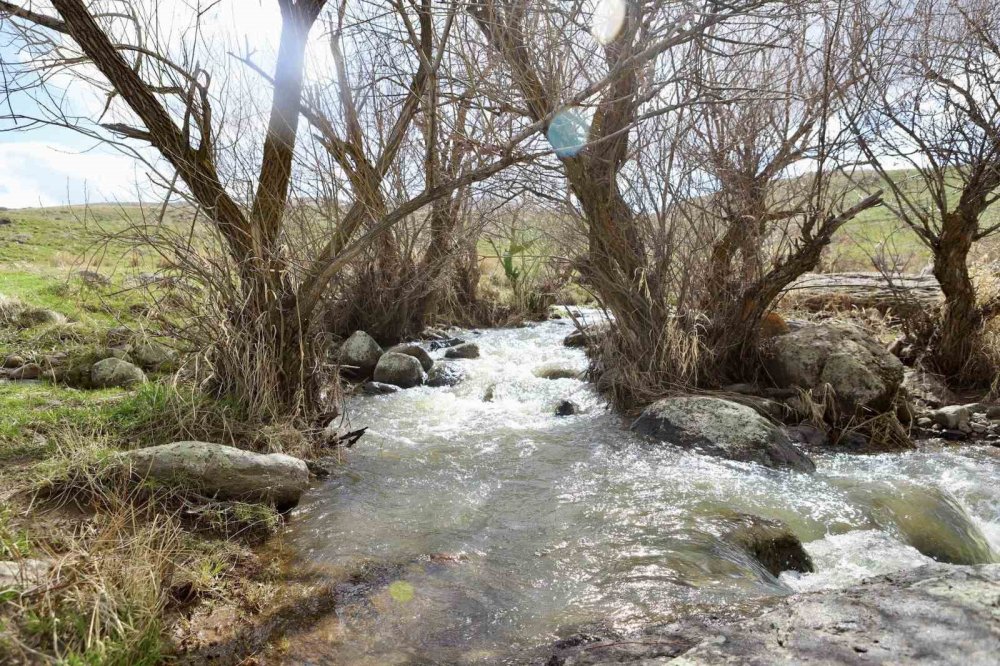 Bekiran Şelalesi baharda güzelliğiyle mest ediyor