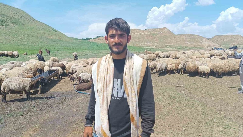 Yaylada kalan göçerler peynir üretiyor