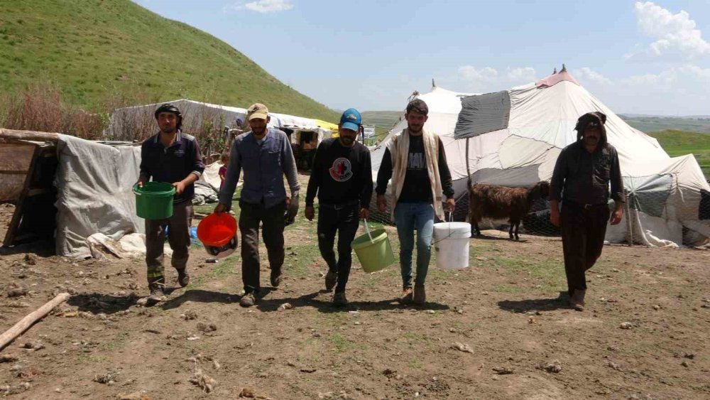 Yaylada kalan göçerler peynir üretiyor
