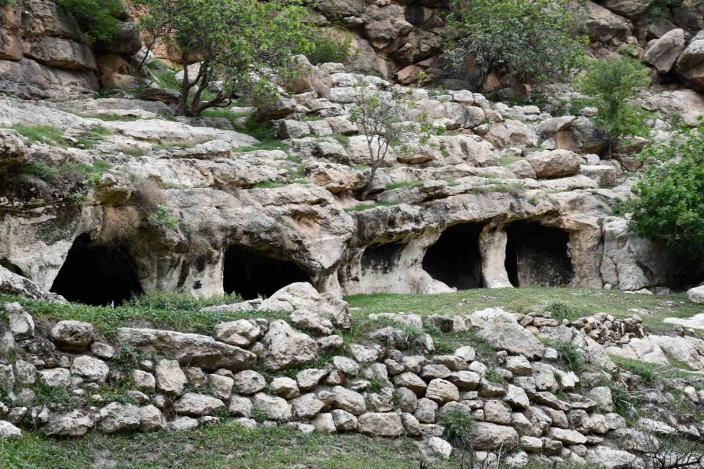 Gabar Dağı etekleri turizme göz kırpıyor