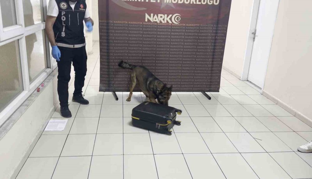 Uyuşturucu dolu valiz "Hektor"a takıldı