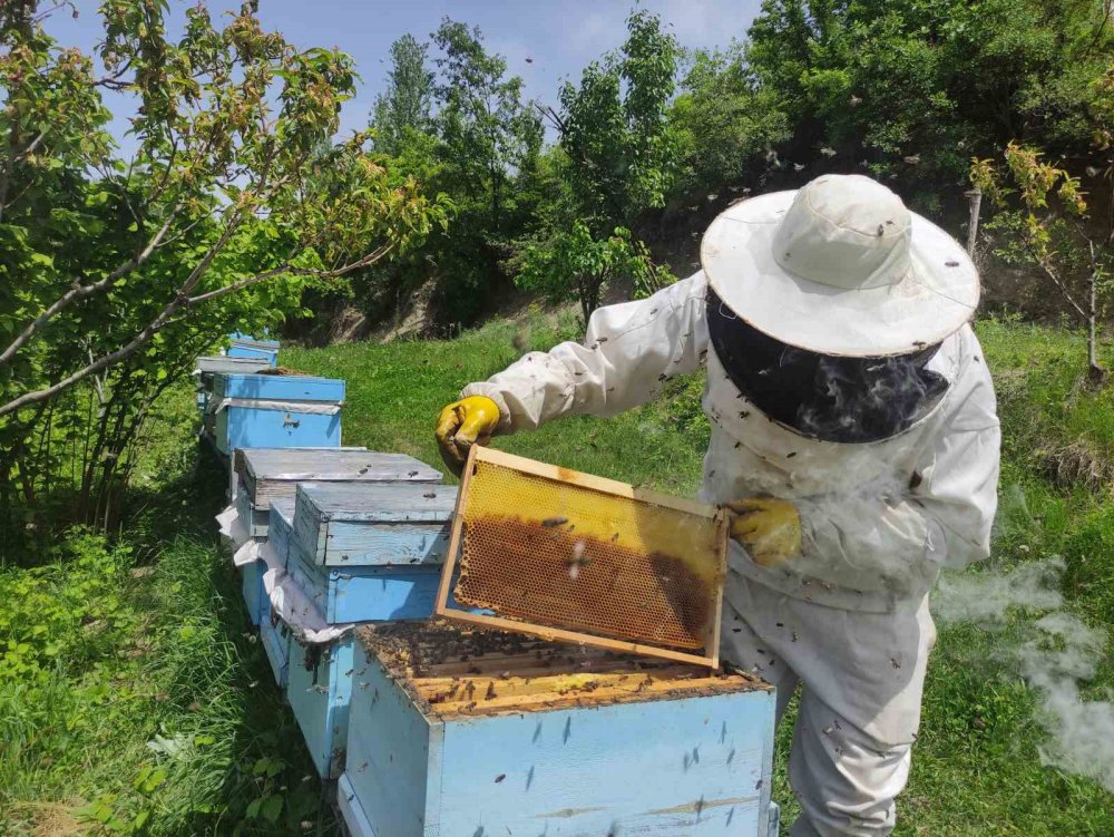 Arıcılar yeni sezona hazırlanıyor