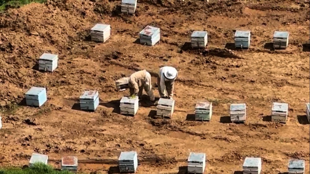 Bitlisli arıcılar yeni sezon için hazırlıklarını tamamladı
