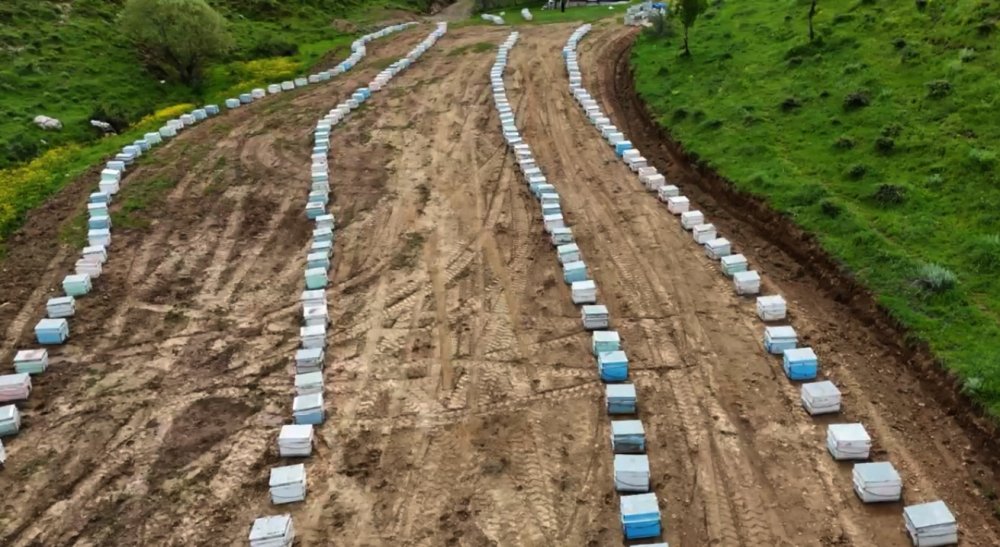 Bitlisli arıcılar yeni sezon için hazırlıklarını tamamladı