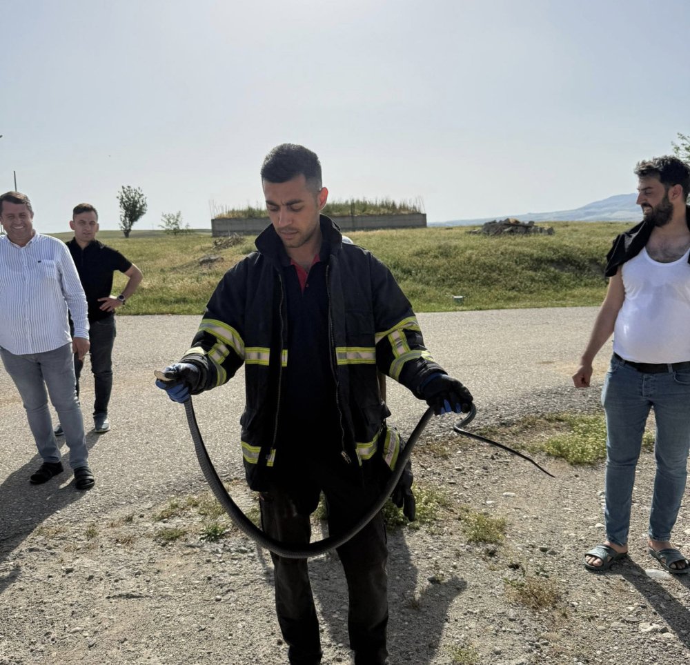 Kozluk'ta tavan arasına giren yılan paniğe neden oldu