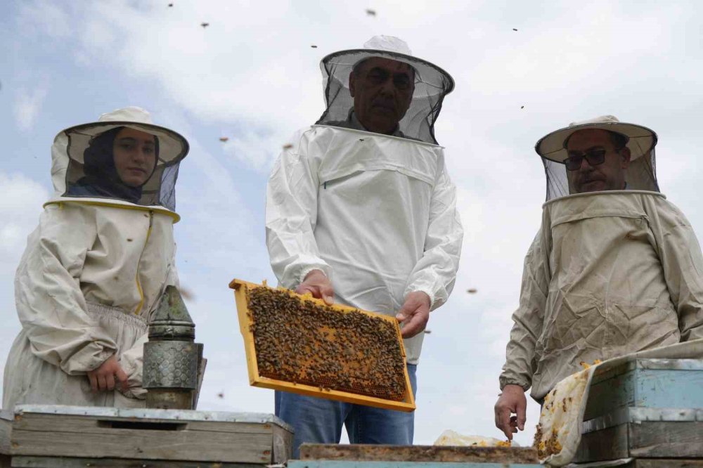 Erzincan’da 100 bin üzeri kolonide 1 milyon kilo bal üretiliyor