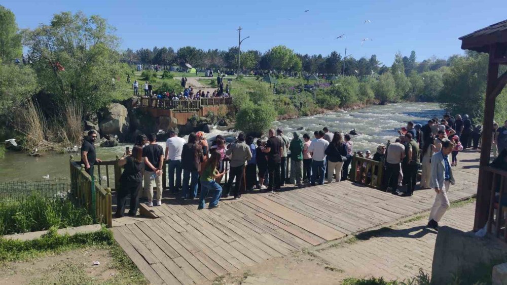 Uçan balıkların görsel şöleni başladı