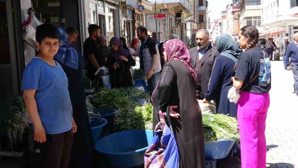 Dağlardan toplanan pancarlar hem şifa hem kazanç sağlıyor