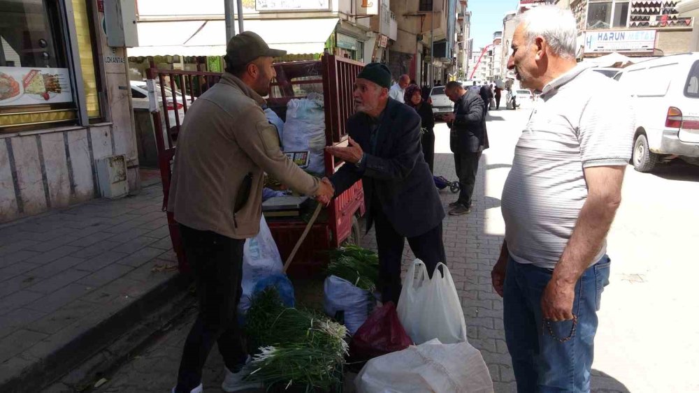 Dağlardan toplanan pancarlar hem şifa hem kazanç sağlıyor