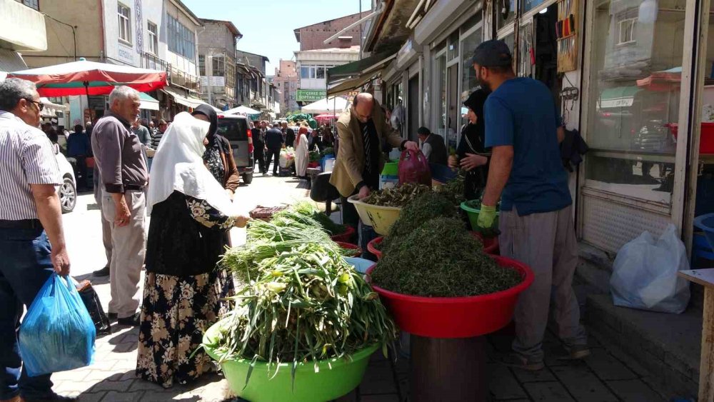 Dağlardan toplanan pancarlar hem şifa hem kazanç sağlıyor