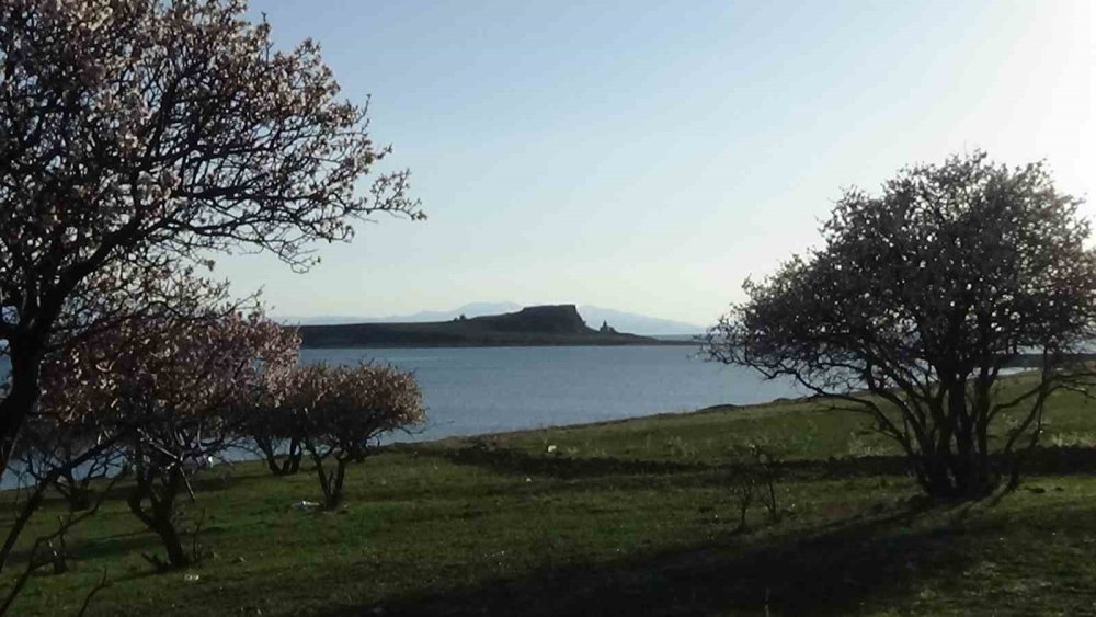 Doğaseverlerin yeni rotası Van'ın Çarpanak yarımadası