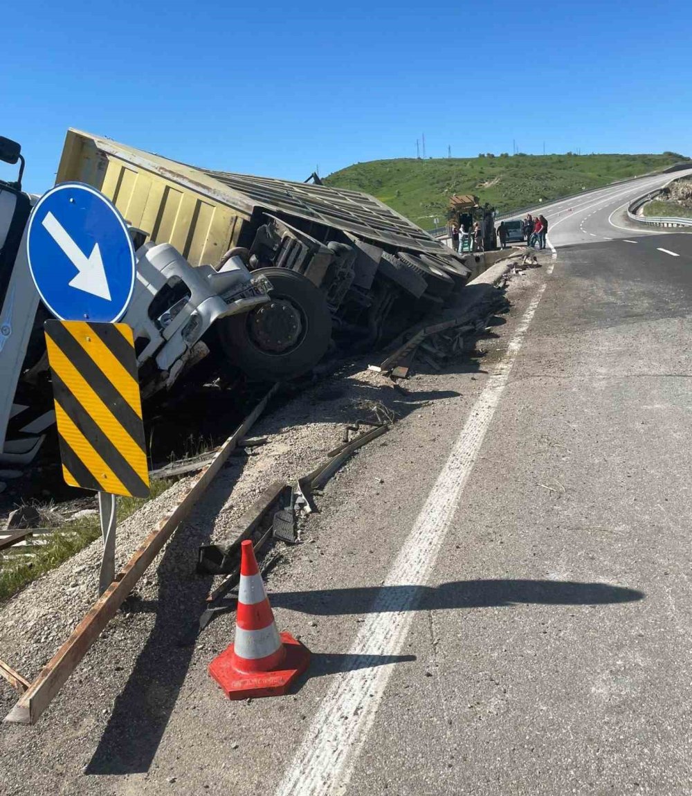 Kurbanlıkları taşıyan tır devrildi: Onlarca koyun öldü