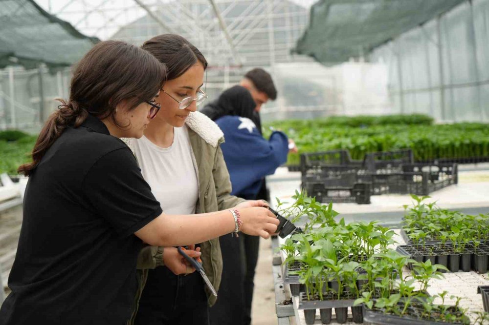 Lise öğrencileri 1 milyon fide üretimi yapmayı hedefliyor