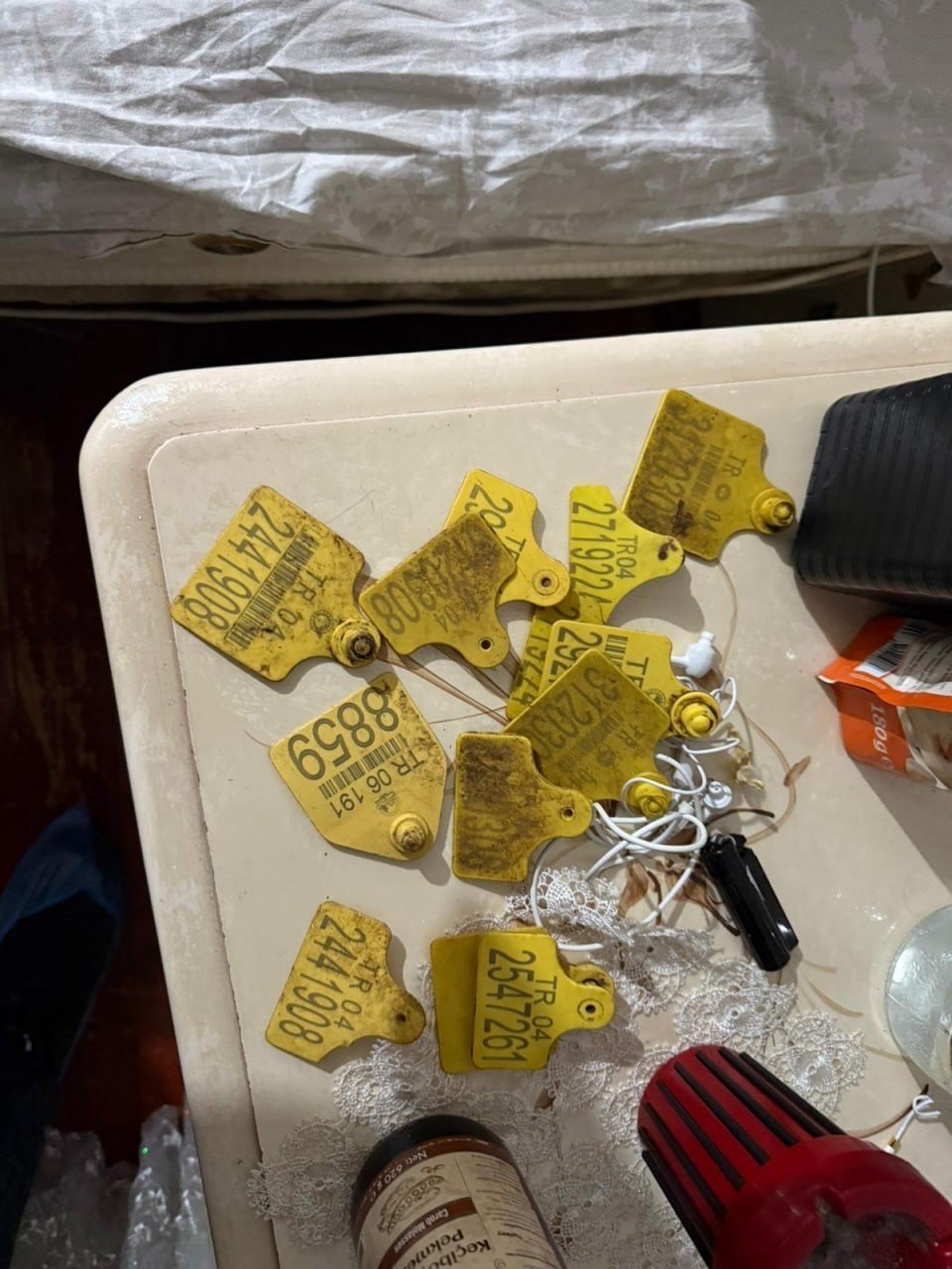 Ağrı’da usulsüz hayvan sevk belgesi operasyonu: 9 gözaltı