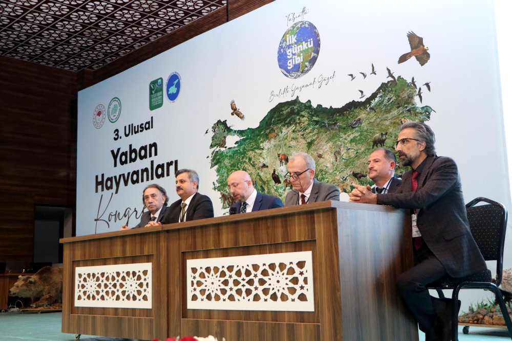 Bilim insanları, Türkiye'nin yaban hayatını Van'da konuşuyor