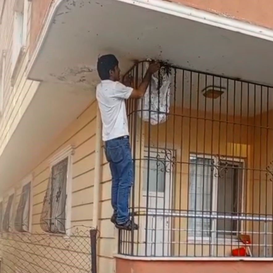 Çıplak elleriyle yüzlerce arının arasına girdi