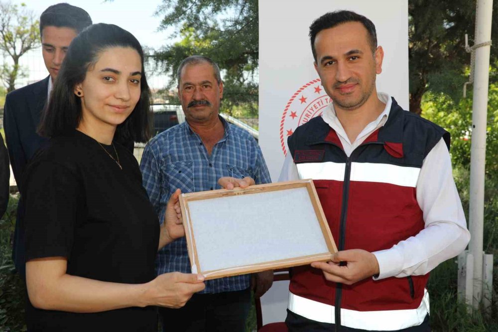 Elazığ'da 18 üreticiye ipek böceği larvası dağıtıldı