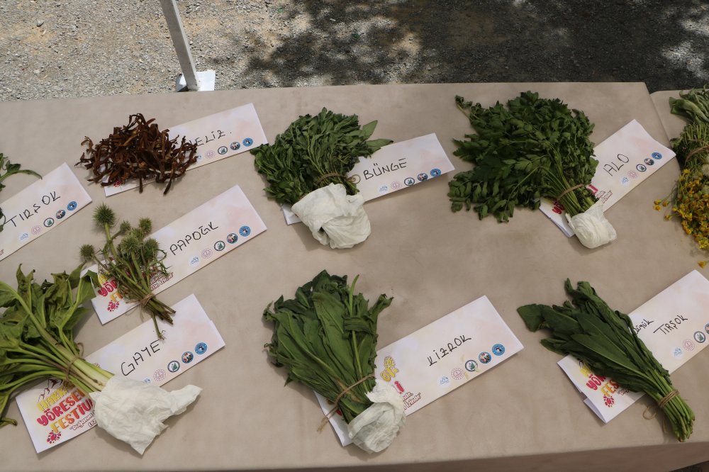 Hakkari'de "1'inci Yöresel Ot Festivali" gerçekleştirildi