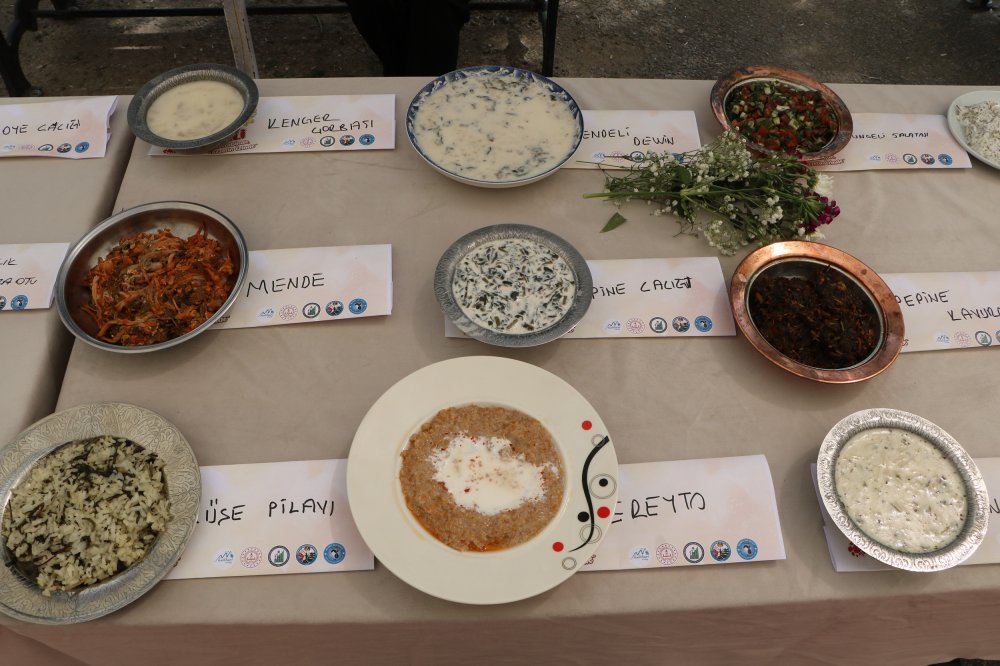 Hakkari'de "1'inci Yöresel Ot Festivali" gerçekleştirildi