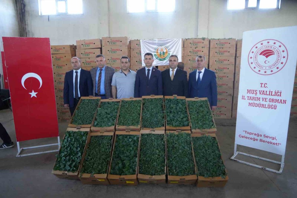 Muş’ta çiftçiye 6,5 milyon TL’lik fide desteği