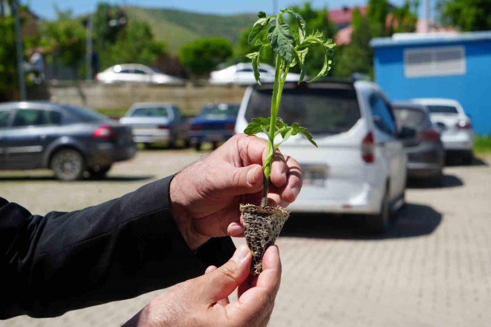 Muş’ta çiftçiye 6,5 milyon TL’lik fide desteği