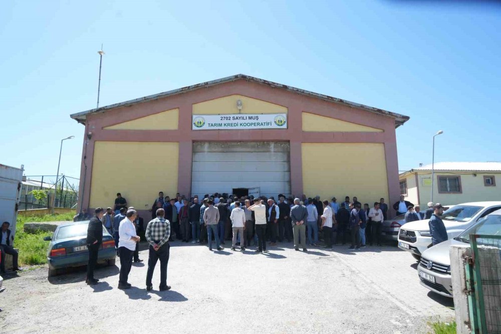 Muş’ta çiftçiye 6,5 milyon TL’lik fide desteği