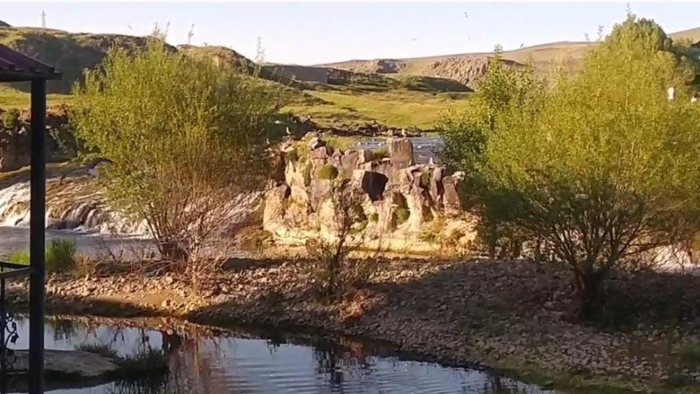 İnci kefalinin göçü yerli ve yabancı turistlerin ilgi odağı oldu