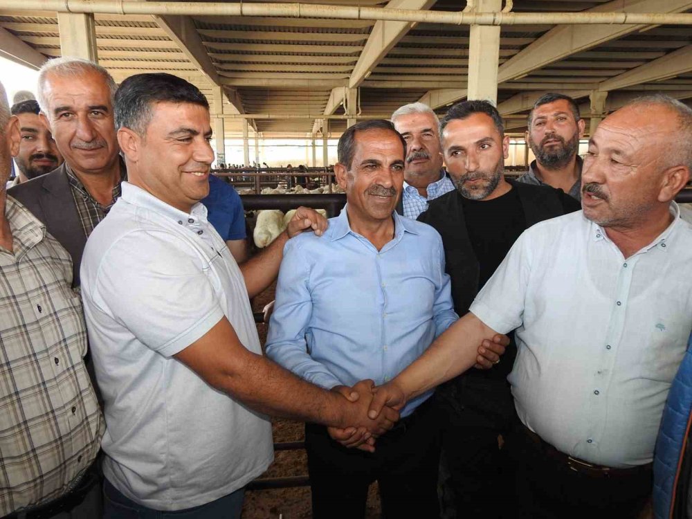 Kurban Bayramı öncesi Antep'teki hayvan pazarları hareketlendi
