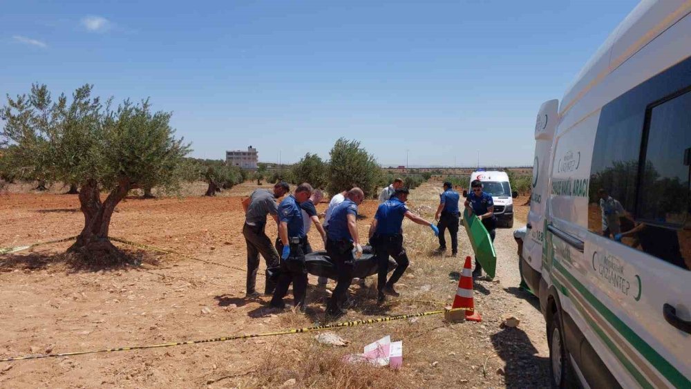 Antep’te bir genç zeytin tarlasında ölü bulundu
