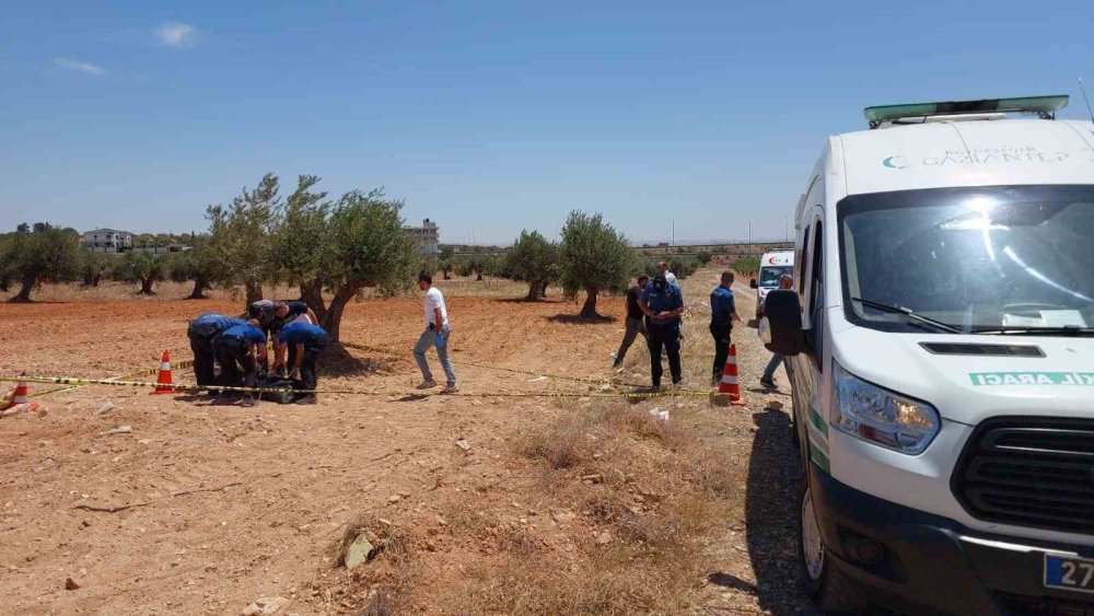 Antep’te bir genç zeytin tarlasında ölü bulundu