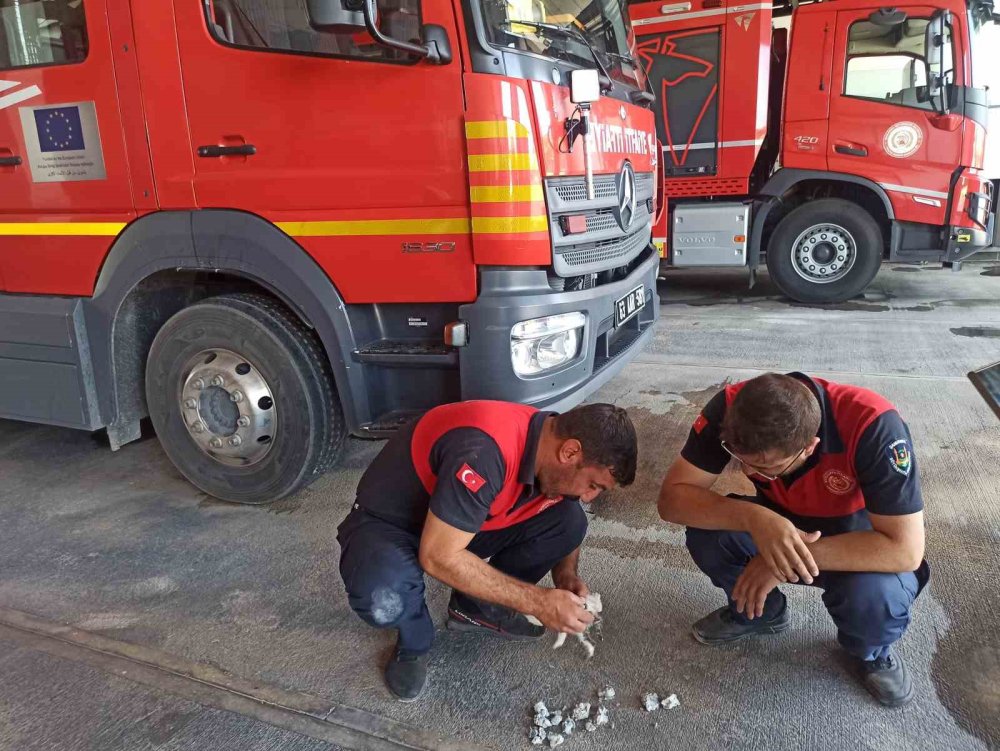 Urfa’da akıl almaz olay