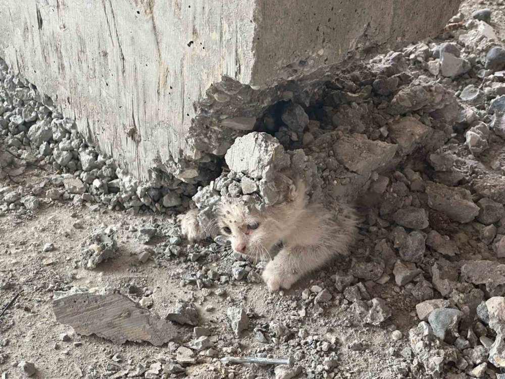 Urfa’da akıl almaz olay