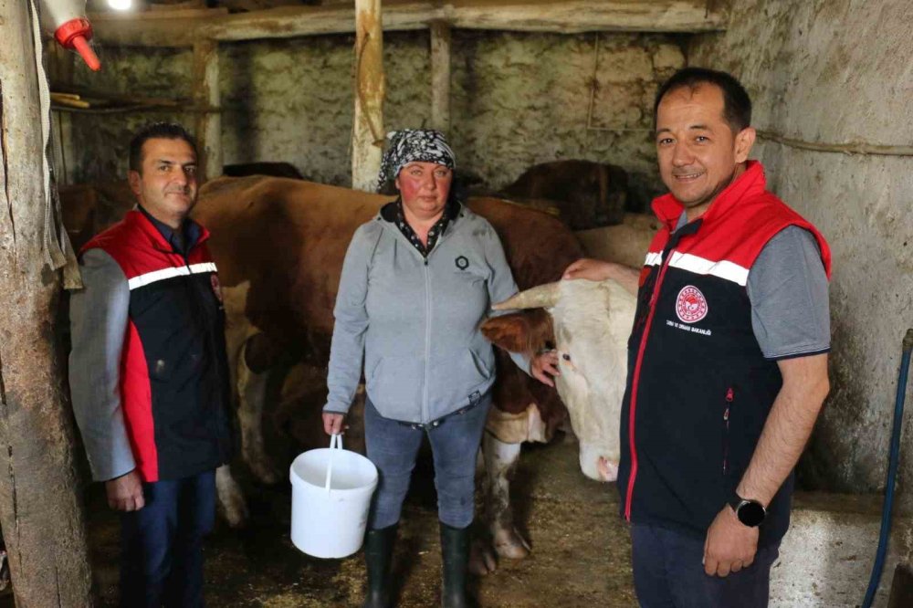 Gürcistanlı Nino, Erzincan’da çiftçilik yapıyor