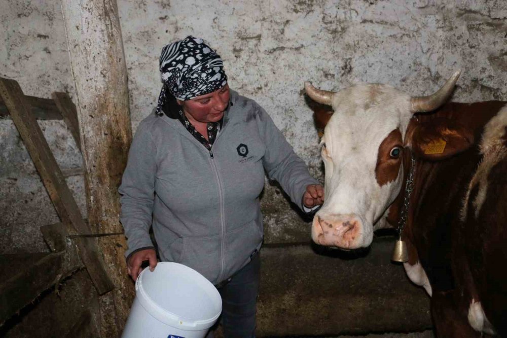 Gürcistanlı Nino, Erzincan’da çiftçilik yapıyor