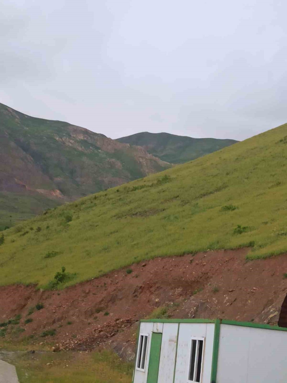 Hakkari’de güneşle açan, gün batımında yok olan çiçekler