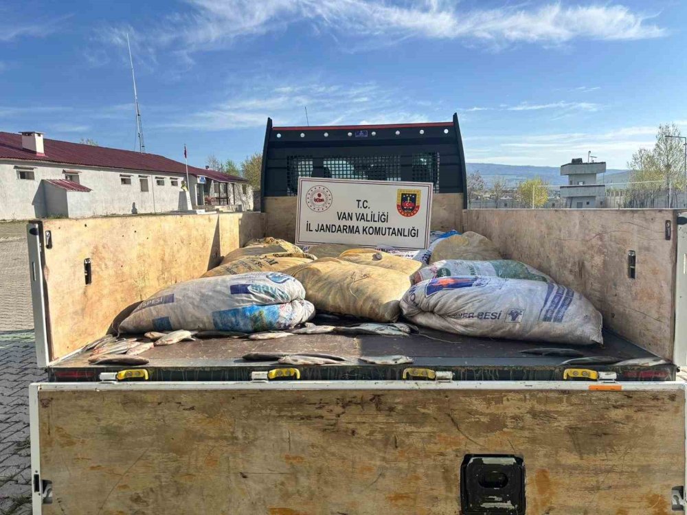 Kaçak avlanmış 15 ton inci kefali ele geçirildi