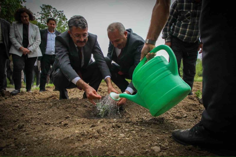 Vali Çelik: Bu toprakları birlikte yeşerteceğiz