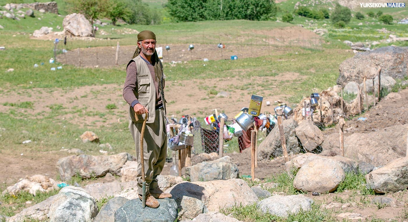 iskender-zere2.jpg
