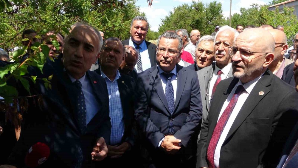 Zirai Don Araştırma Komisyonu kayısı bahçelerinde inceleme yaptı