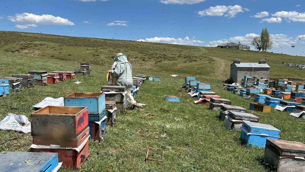 Baba mesleği arıcılığı 21 yıldır eşiyle birlikte yapıyor