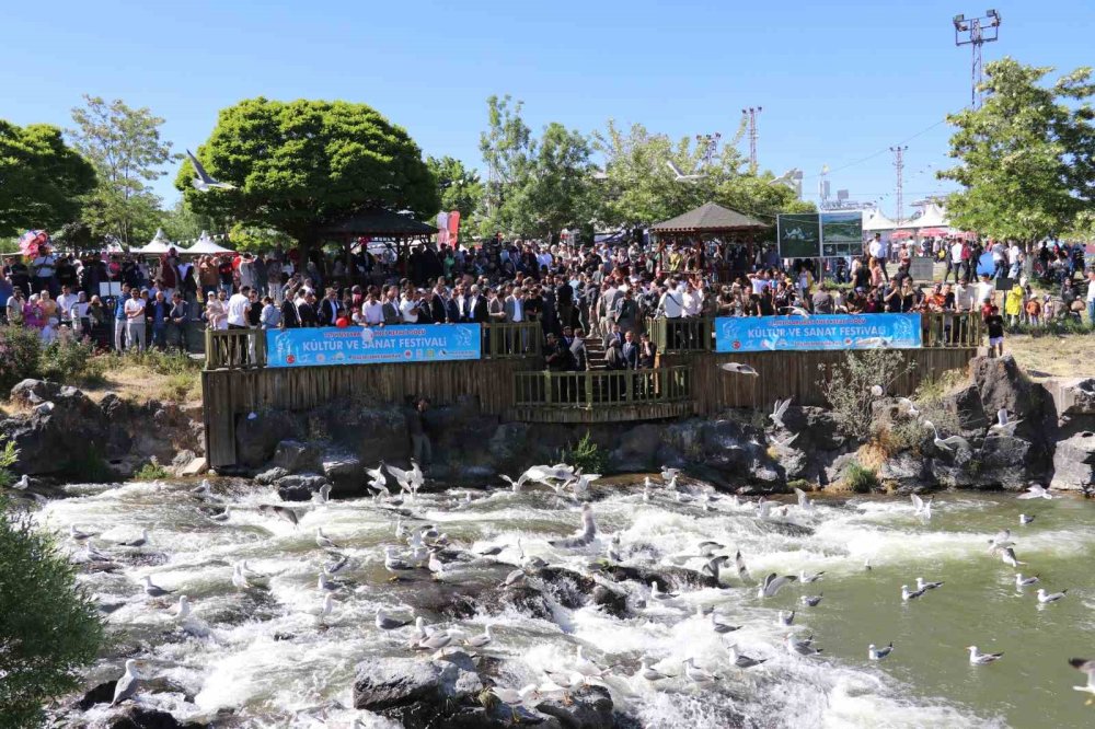 İnci kefalinin yaşam mücadelesi objektiflere yansıdı