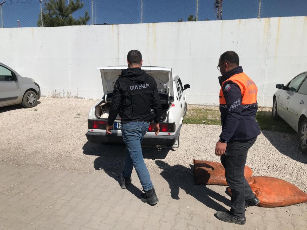 Van'da son 1 haftada 22 ton 475 kilogram inci kefali ele geçirildi